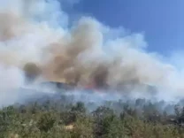 689f3eced46b8a1576c23f30