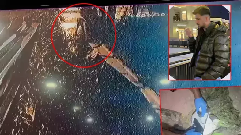 68bbd7e90e55099b015d76b5