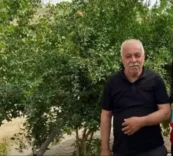 68d79085e97b867a3b211227