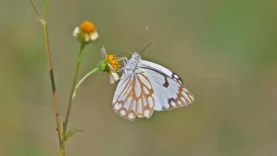 69105d72a322c59cc784996a