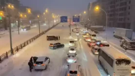 6955527c5a5de12c66becf9a