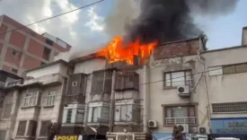 696497eb077b0612903a273d