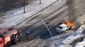 696745b2a6563c0b700428e5