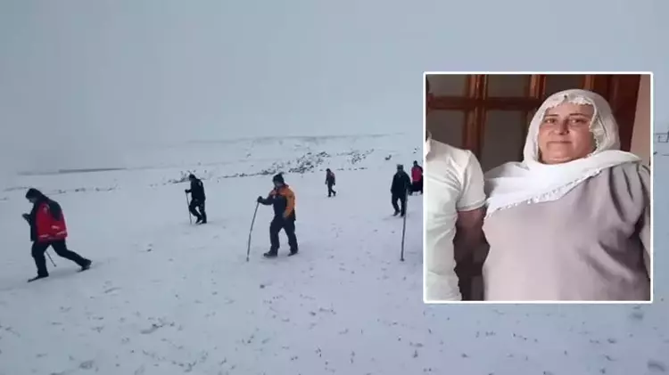 697882148c3f68b010b5c75a