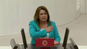 CHP Gülizar Biçer Karaca