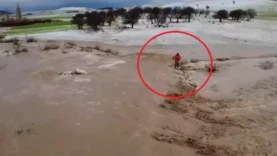 698b2cb2be0318fe1e2a8678