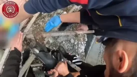 69931a90751f5e78320640a6