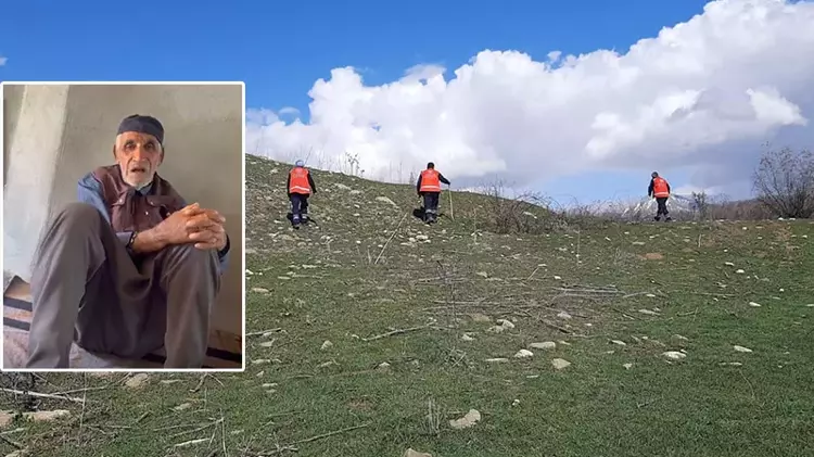 dsflsş