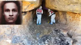 6900941e0e55099b015ea9d0 (1)