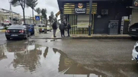 69c651d2c3323bfe5fd19c38