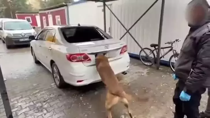 69dc8f125d67401ce4aa060f