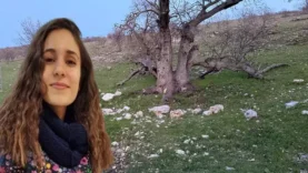 69eb4b7bce3eb91b24a19ded