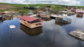 69ef18414a1cbc4c90434636