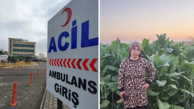 Tarlada Beyin Kanaması Geçiren 3 Çocuk Annesi Yaşamını Yitirdi