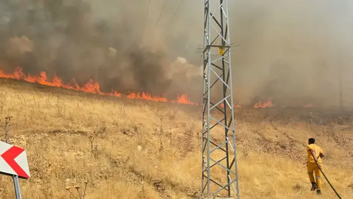 Diyarbakır’da Örtü Yangınında 450 Dönüm Alan Zarar Gördü