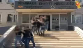 6aab8ea24f24533895c245ec