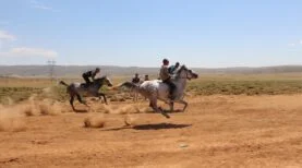 7316d453-86a1-4508-baea-61a2e964ac74