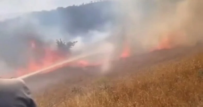 85c305e9-15c5-412b-9aa6-a6437d3e56c3