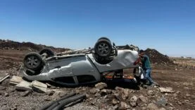 b19d396c-3e35-4d4e-b59c-9093b84fc9a5