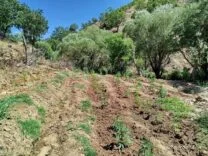 b5128576-83c3-427c-bdfa-e57041056b85