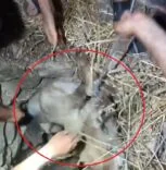 decfdd41-d558-4b8b-9961-6a86851cad84