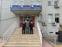 e131c98a-37f6-43b1-a62a-0822cdbbda45