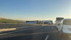 16917216-55f9-4972-8c72-5861740b2cc0