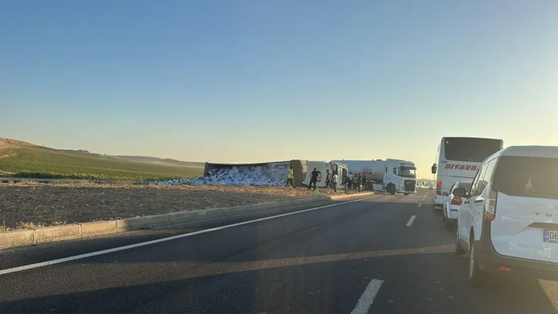 16917216-55f9-4972-8c72-5861740b2cc0