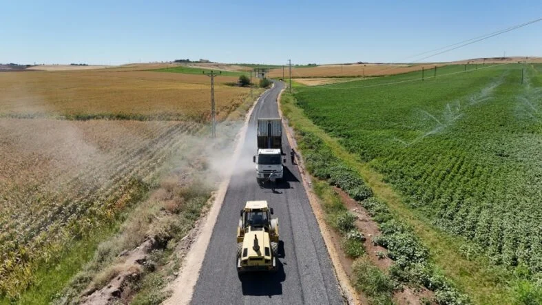 26cc4126855f4435bf41c220261fb6f9_XL