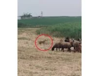 6cb9d0ef-2b2d-4869-83f6-b401cc424f0d