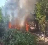 8753fd98-3061-47d3-b015-23f912a95b55