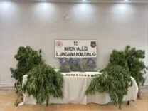 9e3cee6f-cbf1-47e7-a825-7e190e35cdfb