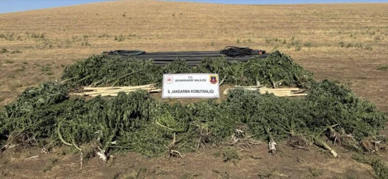 2e2223f3-9cb5-4fc6-856c-36e02c5e9785