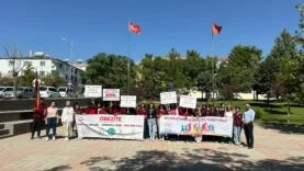 Lice’de “Obezite Farkındalık Yürüyüşü” Düzenlendi