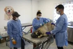 902ad38e5dc46bfdacfd2bf383717a55_XL