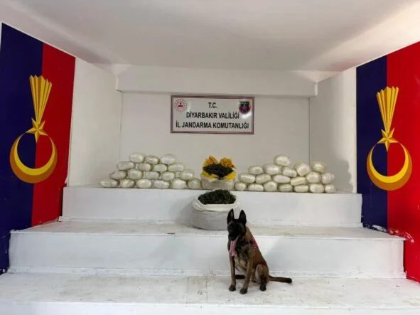 09d8461e-0c24-4d48-b719-2e66056d0094