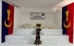 694e880f-e201-4907-a4fa-33081bf8582d