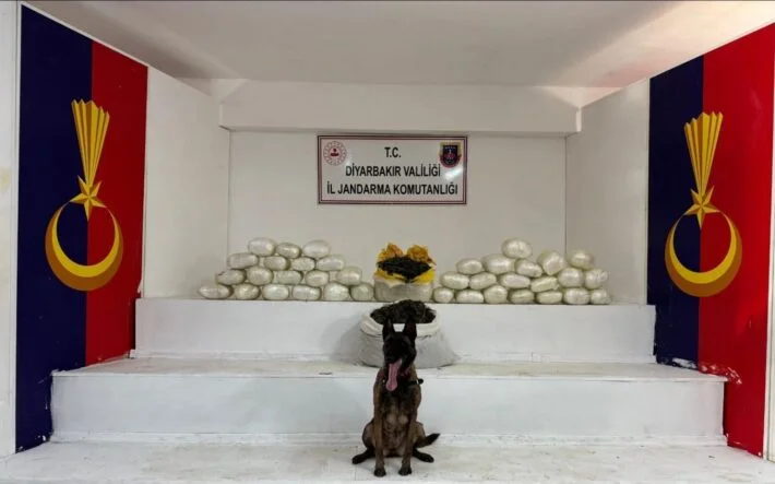 694e880f-e201-4907-a4fa-33081bf8582d