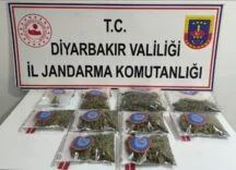 5a8a229f-920f-41b2-ad19-b56a58727a5f