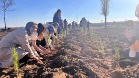 5c4c34d3-4d1e-4281-adfb-bf554752d9d7