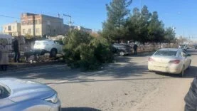 68513ffe-7acb-4c91-8065-76612be9360d