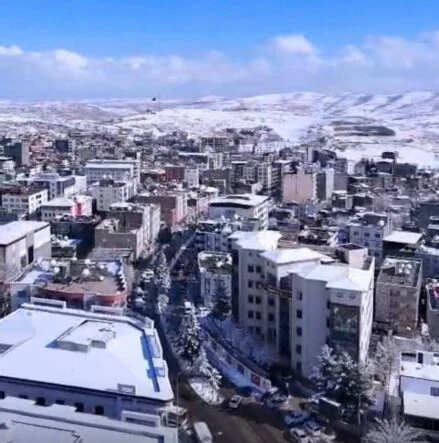 9ba28575-7706-4b82-a8ed-645d50f8f4cf