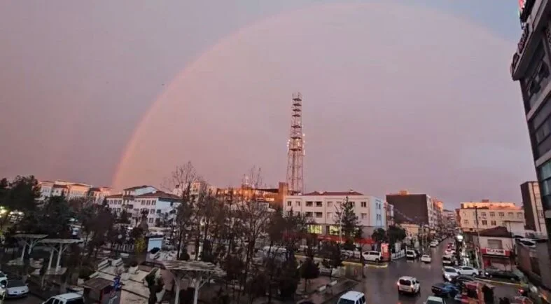 867c2bc8-b731-4b7d-8e3c-b7c036821d2f