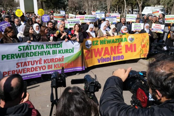 DSCF2476.jpg_3000x2000