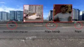 WhatsApp Image 2026-02-08 at 12.00.33