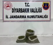 4a475f76-c64b-4c94-ac8c-f186cbadbd91