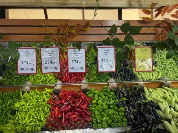 WhatsApp Image 2026-03-19 at 15.48.41