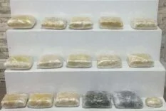 28354019-6fcd-475f-9b90-f10706be2c01