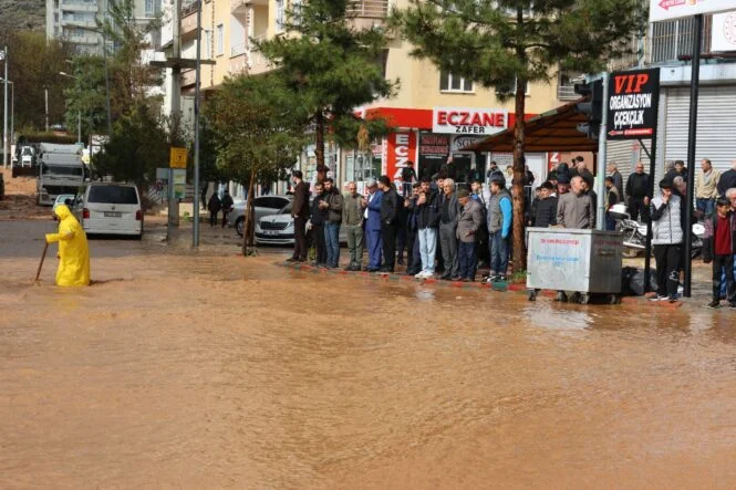 33f61133-ba81-462e-8dd5-6baf4c7815d8