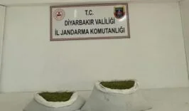 8f126604-7270-45d6-aaaa-9e34134a68ad